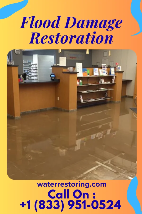 Flood Damage Restoration in Arapahoe, NC