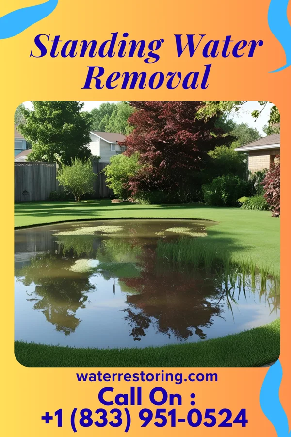 Standing Water Removal in Arapahoe, NC
